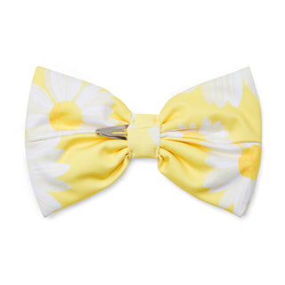 A DEE - Daisy Dreamer Delores Yellow Bow