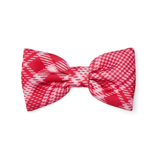 Red and white checkered bow tie on a white background